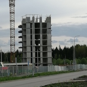 31.05.2020