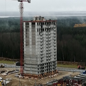 31.10.2019