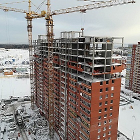 31.01.2019