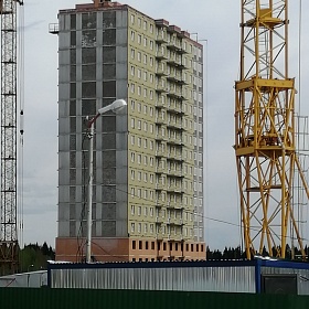 31.05.2020