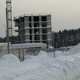 29.02.2020