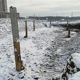 31.01.2019