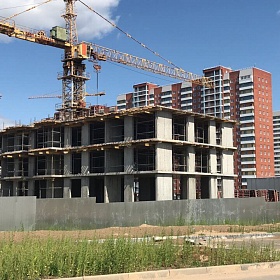 31.07.2019