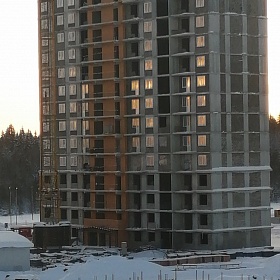 31.01.2020