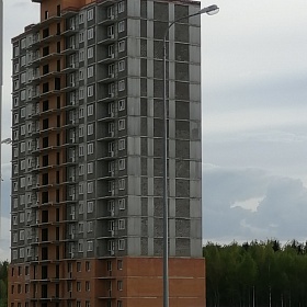 31.05.2020