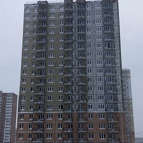 31.01.2022