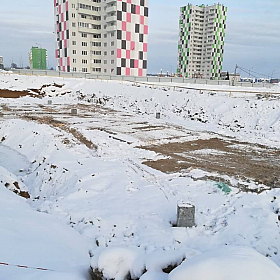 31.01.2019